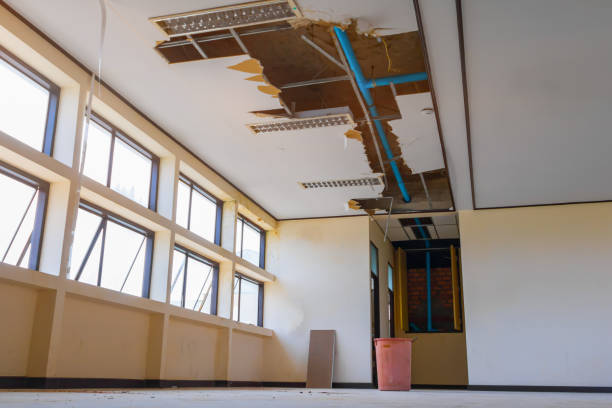 Water damage restoration mold remediation in Vienna, VA
