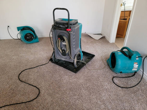 Best Water damage mitigation services  in Vienna, VA