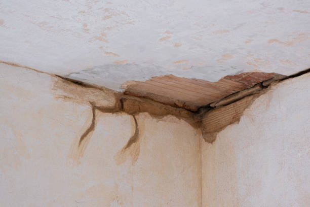 Best Water damage cleanup near me  in Vienna, VA