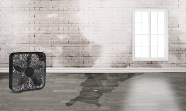 Reliable Vienna, VA Water damage restoration Solutions