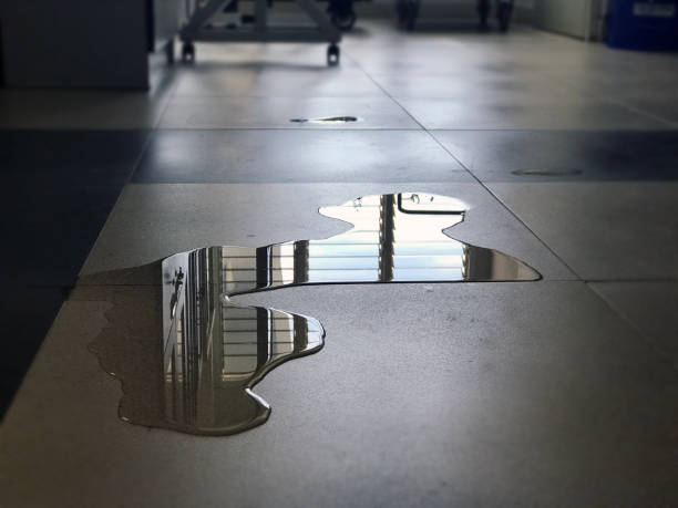 Best 24/7 water damage repair  in Vienna, VA
