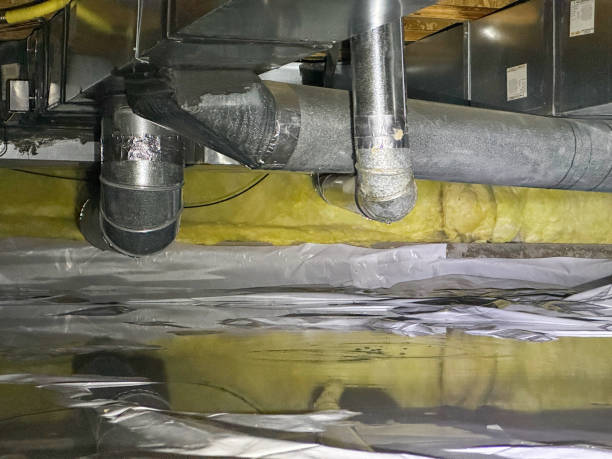 Best Mold removal after water damage  in Vienna, VA