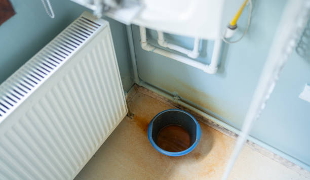 Best Basement water damage restoration  in Vienna, VA