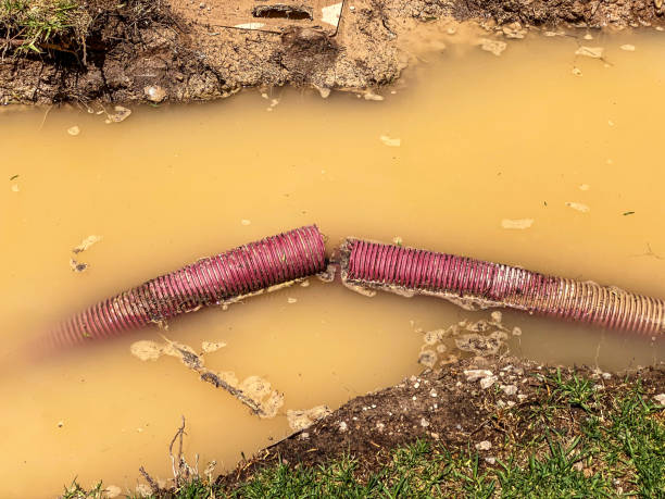 Best Emergency water damage restoration  in Vienna, VA